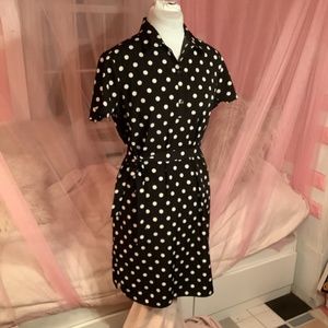 Ann Taylor Polka Dot Dress